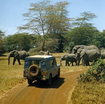 Touristen mit Geländewagen auf Safari in der Savanne begegnen Elefantenherde Safari_116506