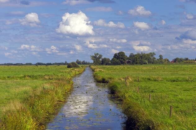 Entwaesserungsgraben in den Wuemmewiesen, Deutschland, Niedersachsen, Ritterhude riverside pastures with drainage channel, Germany, Lower Saxony, Ritterhude BLWS252888