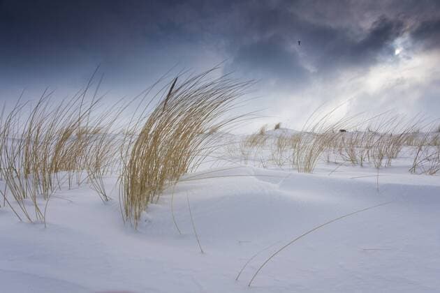 schneebedeckte Duenen im Sturm, Deutschland, Mecklenburg-Vorpommern, Wustrow, Darss snowcovered dunes in storm, Germany, Mecklenburg-Western Pomerania, Wustrow, Darss BLWS255061