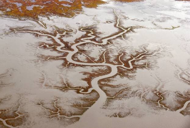 Priel im Watt, Luftaufnahme, USA, Alaska, Anchorage tide way in wadden sea, aerial view, USA, Alaska, Anchorage BLWS039190