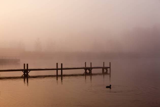 Steg im Nebel am Staffelsee mit der Insel Wörth bei Seehausen, Murnau, Oberbayern, Bayern, Deutschland, Europa, ÖffentlicherGrund ibxmox02037226
