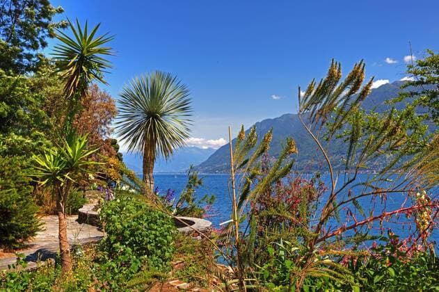 Blick auf den Lago Maggiore von den Isole di Brissago