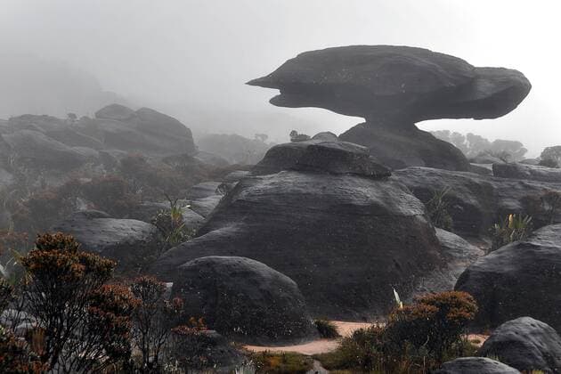  Flying turtle -Felsen auf dem Hochplateau des Tafelberges Roraima, Dreiländereck Brasilien-Venezuela-Guyana, Südamerika iblmea02068000