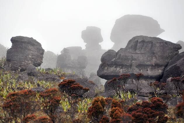 Felsenlandschaft im Nebel auf Tafelberg Roraima, Dreiländereck Brasilien, Venezuela, Guyana liegt auf der Hochebene, Südamerika iblmea02081387