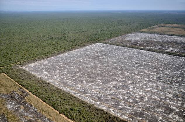 IMAGO Nature: Unsere Erde, Umweltverträgliche Herausforderungen, Regenwald  Luftaufnahme, illegale Brandrodung, Stämme, Äste und Zweige des gebrochenen Waldes werden auf den zukünftigen Soja-Feldern im Gran Chaco verbrannt, Salta, Argentinien, Südamerika iblflk02117588