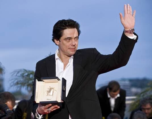 61. Internationale Filmfestspiele von Cannes 2008 Festival de Cannes 2008 61st Annual Cannes Film Festival - Tag 12. Photocall mit den Preisträgern Benicio Del Toro