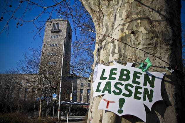 Das Zeltlager der Parkschützer im Stuttgarter Stadtpark kurz vor der geplanten Räumung und die Bäume die Gefällt werden sollen