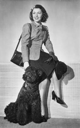 Jenny Jugo (Schauspielerin) 07 10 teu Jenny Jugo ca. 1930er Jahre Österreich österreichische Österreicherin Frau Schauspiel Film TV Kino Fernsehen Theater historisch austrian actress hoch ganz sitzend lächelnd Hund Haustier Tier Handtasche Hut Handschuhe sw !AUFNAHMEDATUM GESCHÄTZT!