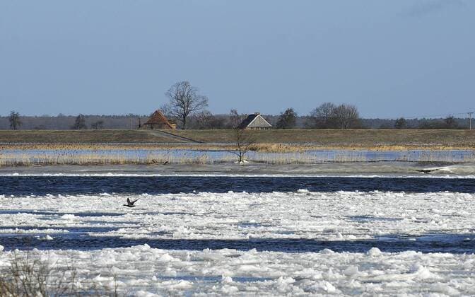 vereiste Flusslandschaft der Elbe bei Hitzacker Elbe