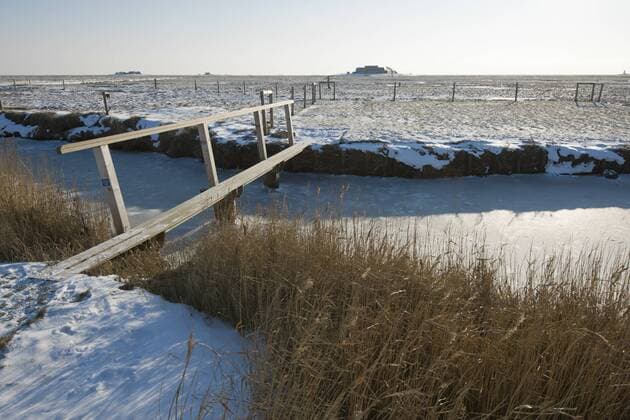 Winterliche Mayenswarf auf der Hallig Langeness, Nordfriesland, Norddeutschland, Deutschland, Europa