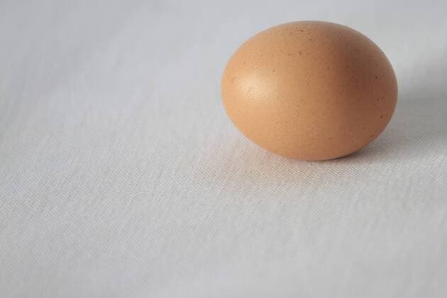 egg, eggs (CTKxPhoto JakubxSyrucek) CTKPhoto553201203120318901