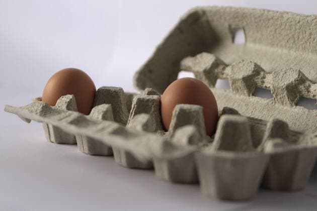 egg, eggs (CTKxPhoto JakubxSyrucek) CTKPhoto564201203120321401