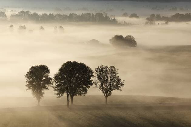 Morgennebel über Loisachmoor, auch Loisach-Kochelsee-Moor, Blaues Land, Oberbayern, Bayern, Deutschland, Europa ibxman02192351