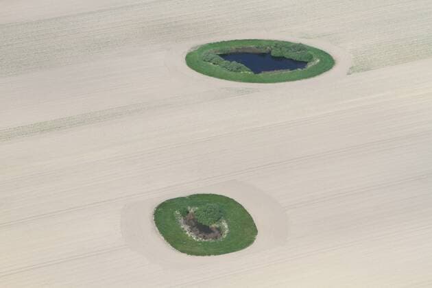 Blick auf zwei grüne Oasen nahe Kartlow (Landkreis Vorpommern Greifswald) am Dienstag (22.05.2012). Die Landwirtschaft in Mecklenburg Vorpommern braucht gegenwärtig an einigen Stellen dingend Regen. Wie trocken es mancherorts bereits ist zeigt ganz deutlich eine Ackerfläche die mit Büschen und Grün bewachsen ist. Hier sieht die Oberfläche aus der Luft noch leuchtend grün aus. Der danebenliegende Acker wirkt jedoch von oben bereits sehr trocken. Achtung Luftbild: Mindesthonorar 60 Euro
