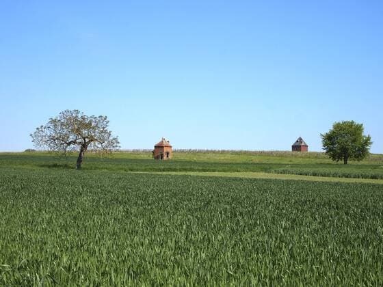  Taubenhäuser und Eichen auf einem Feld, Limagne, Region Maringues, Auvergne, Frankreich, Europa iblbej02256076