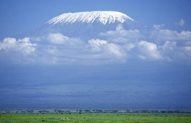 Savannah near Kilimandjaro Mountain, Tanzania