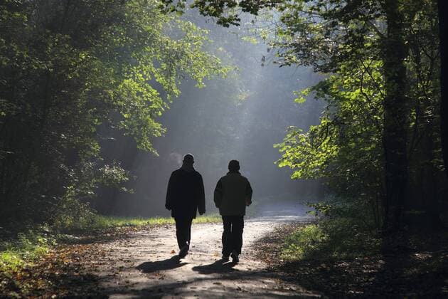 zwei Spaziergaenger gehen durch einen Herbstwald, Deutschland two walkers walking through autumn forest, Germany BLWS293864