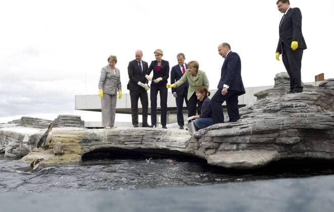 Deutschland, Stralsund, Ozeaneum Dachterrasse, Besuch der Pinguine, v.l.n.r. Valentina Pivenenko, Frederik Reinhardt, Helle Thorning-Schmidt, Donald Tusk, Angela Merkel, Andrius Kubilius, Valdis Dombrovskis, 31.05.2012