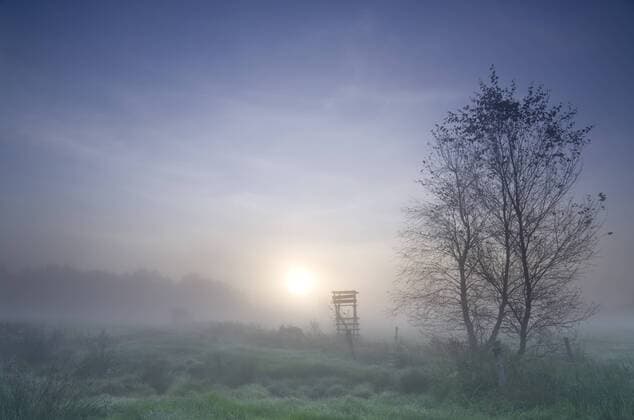  Frühnebel im Moorgebiet in Flögeln, Niedersachsen, Deutschland, Europa ibxkje02329336