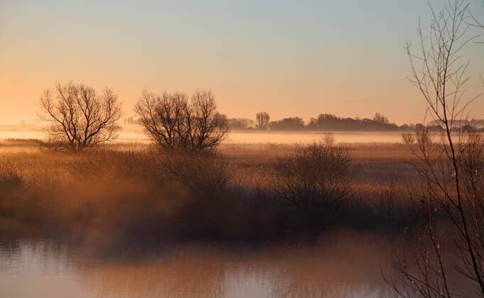 Bodennebel über einem Feuchtgebiet am Morgen, Niederlande, Friesland ground fog above wetland in the morning, Netherlands, Frisia BLWS290645