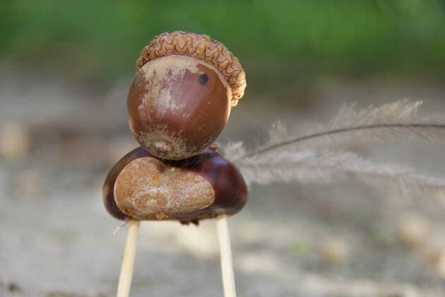 gebasteltes Männchen aus Kastanien
