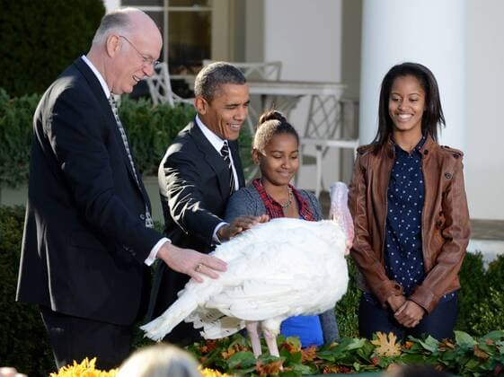 President Barack Obama pets the National Thanksgiving Turkey called Cobbler, with his daughter Malia (R) and Sasha (C) during the annual turkey pardoning in the Rose Garden at the White House in Washington on November 21, 2012. At left is National Turkey Federation Chairman Steve Willardsen. Cobbler will live the rest of his life at President George Washington s estate at Mt. Vernon, Virginia.  WAP20121121105