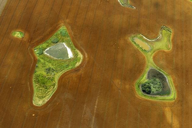 Luftbild, abgeerntetes Feld mit Teichen und Wieseninseln, graphische Elemente, Damshagen, Mecklenburg-Vorpommern, Deutschland, Europa !ACHTUNGxMINDESTHONORARx60xEURO!