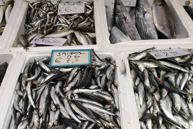 IMAGO Creative, Unsere Erde, Umweltverträgliche Herausforderungen des 21. Jahrhunderts, Überfischung Fangfrischer Fisch  1040100584