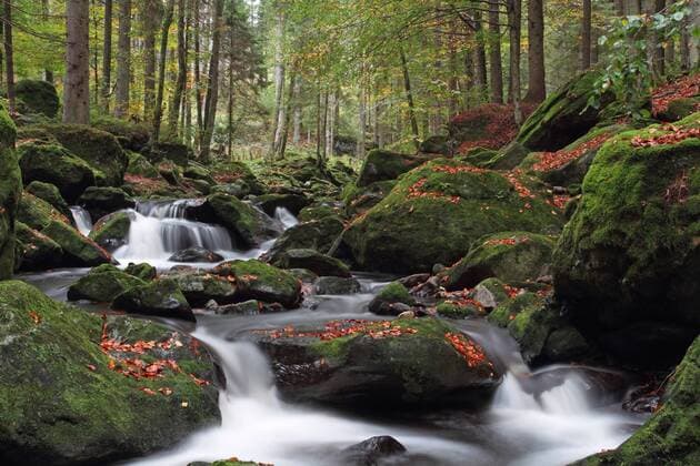 Wildbach Kleine Ohe, Deutschland, Bayern, Bayerischer Wald Nationalpark wild creek Kleine Ohe, Germany, Bavaria, Bavarian Forest National Park BLWS300638