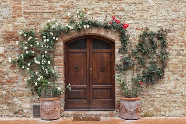 alte Holztuer mit Rosen in der Toskana, Italien