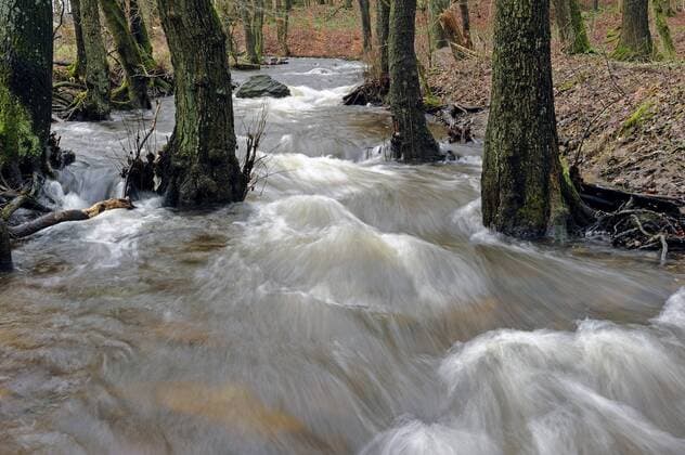 Hochwasser nach Schneeschmelze in kleinem Bach im Naturpark Arnsberger Wald, Deutschland, Nordrhein-Westfalen, Sauerland high water after snowmelt in brook in the Arnsberg Forest Nature Park, Germany, North Rhine-Westphalia, Sauerland BLWS304068