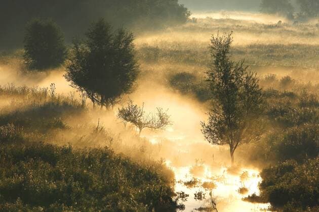 Morgennebel ueber einem Bachlauf bei Sonnenaufgang, Niederlande, Gelderse Poort, Millingerwaard, Kekerdom creek in morning mist at sunrise, Netherlands, Gelderse Poort, Millingerwaard, Kekerdom BLWS336534