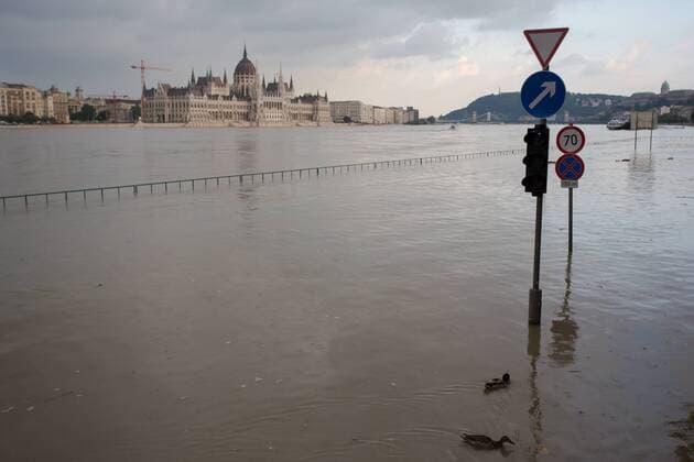 (130606) -- BUDAPEST, June 6, 2013 (Xinhua) -- Ducks swim on a riverside road covered by flood in central Budapest, Hungary, on June 6, 2013. The water level of the Danube in Budapest has risen and its peak is expected on the next Monday. (Xinhua Attila Volgyi) HUNGARY-BUDAPEST-DANUBE-FLOOD 