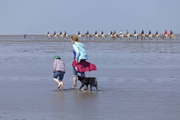Frau, Kind und Hund im Watt, hinten Reiter, Duhnen, Cuxhaven, Niedersachsen, Deutschland, Europa iblshg03307296.jpg