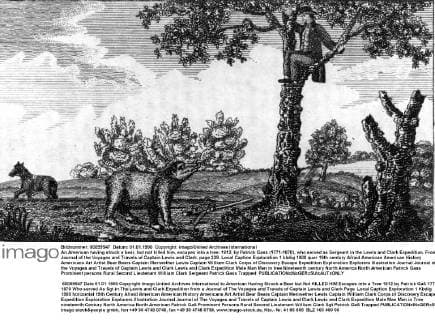 An American having struck a bear, but not killed him, escapes into a tree. 1812, by Patrick Gass (1771-1870), who served as Sergeant in the Lewis and Clark Expedition. From a Journal of the Voyages and Travels of Captain Lewis and Clark, page 239. Local Caption Exploration 1 UnitedArchives00899674 