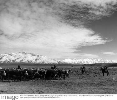 Erwin E Smith Cowboy photo UnitedArchives00924839 
