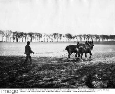 Farmer ploughs a field with horses circa 1900 UnitedArchives00933456 