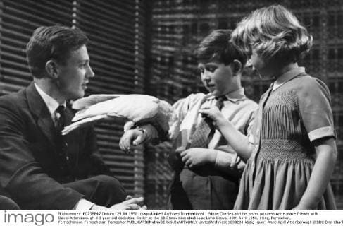 IMAGO ICONS: Sir David Attenborough Prince Charles and his sister princess Anne make friends with David Attenborough d 3 year old cockatoo, Cocky at the BBC television studios at Lime Grove. 29th April 1958, Prinz, Fernsehen, Fernsehshow, Fernsehstar, Fernseher  UnitedArchives01033203
