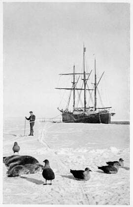 The Fram in the Bay of Whales, Antarctica, 1911-1912. Norwegian polar explorer Roald Amundsen (1872-1928) led the first expedition to reach the South Pole, arriving at the Pole on 14th December 1911, beating Captain Scott s British expedition by 35 days. From The South Pole: An Account of the Norwegian Antarctic Expedition in the Fram , 1910-12, Vol 1 by Roald Amundsen. Credit: Stapleton Historical Collection HIP TopFoto, Norwegen, Jahrhundertwende, 20. Jahrhundert, 1910er, 10er Jahre, historisch  UnitedArchives01161172