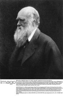 UK -- Portrait of Charles Darwin - one of the greatest scientists ever who became famous after a trip on HMS Beagle to South America, which became the basis of his theory of evolution which he wrote in The Origin of Species - Picture by Julia Margaret Cameron Lightroom Photos  UnitedArchives01184083