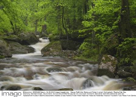 Wasser fließt über Steine und Felsen in einem Gebirgsbach, Flusslauf der Ilse, Ilsenburg, Sachsen-Anhalt, Deutschland, Europa iblkkp03582793.jpg