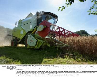 IMAGO Nature: Unsere Erde, Klimawandel, Ernährung, Pflanzen der Zukunft, Hafer Auf einem Feld wird Hafer mit einem Mähdrescher geerntet, fotografiert am 05.08.2013 in Essen, Nordrhein-Westfalen, Deutschland. Haferernte