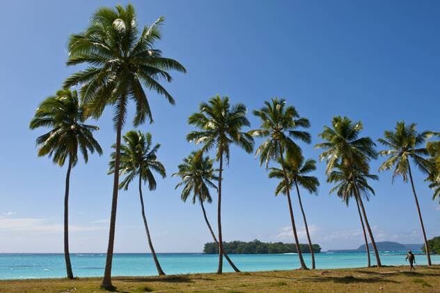  Palmen, Port Orly, Espiritu Santo, Provinz Sanma, Vanuatu, Ozeanien iblrun03577425.jpg