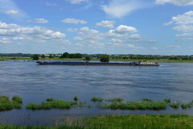 Hochwasser, Oder bei Güstebieser Loose, Brandenburg, Deutschland Güstebieser Oder Hochwasser Brandenburg Deutschland