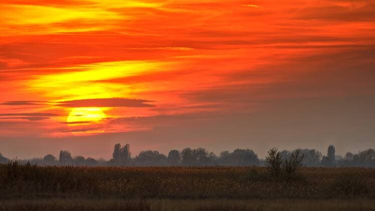 Abendstimmung in der Puszta, Ungarn, Puszta Puszta in evening mood, Hungary, Puszta BLWS351531