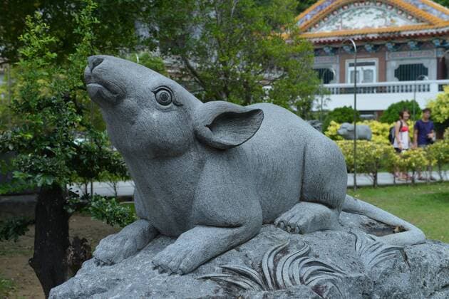 Ratte, Tempelanlage Kek Lok Si, Penang, Malaysia Ratte Tempelanlage Kek Lok Si Penang Malaysia