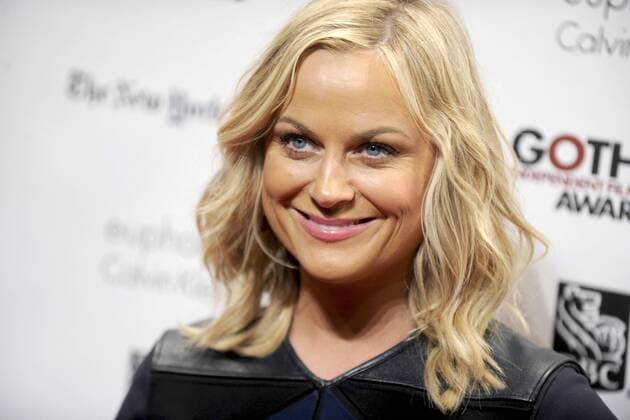 Amy Poehler bei der Verleihung der 23. Gotham Independent Film Awards om Cipriani Wall Street. New York, 02.12.2013 Foto:xD.xVanxTinex xFuturexImage