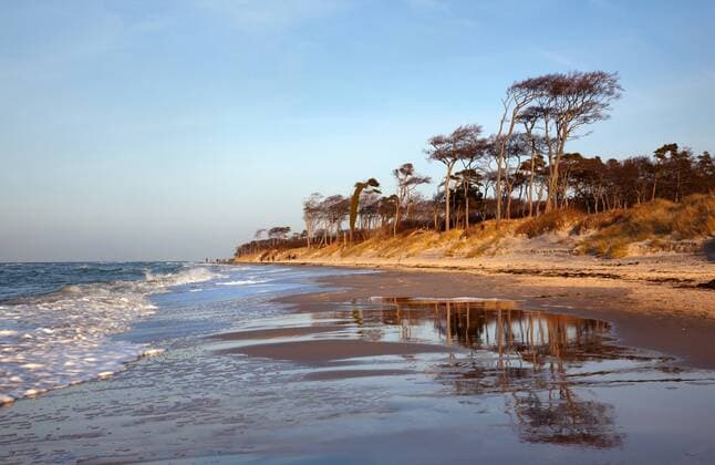Abendlicht am Weststrand der Halbinsel Darss-Zingst