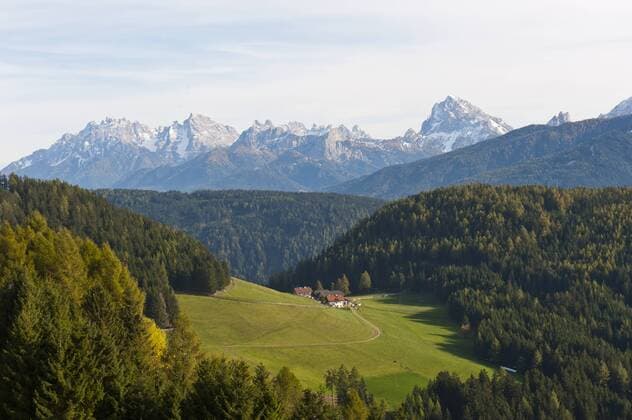 Kleine Alm in waldreicher Landschaft, Ausblick in die Pragser Dolomiten, Niederrasen, Rasen-Atholz, Rasun Anterselva, Südtirol, Südtirol-Trentino, Italien, Europa ibxsau03818631.jpg