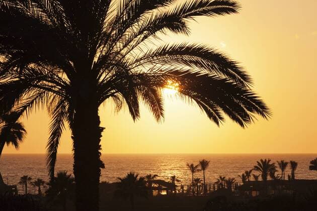  Spanien, Gran Canaria Palmen am Meer bei Sonnenuntergang, Playa de Los Amadores, Gran Canaria, Kanarische Inseln, Spanien, Europa iblmal03871688.jpg